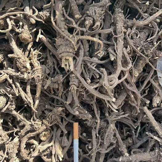 巩留县中药材干货藁苯出货 需要的联系