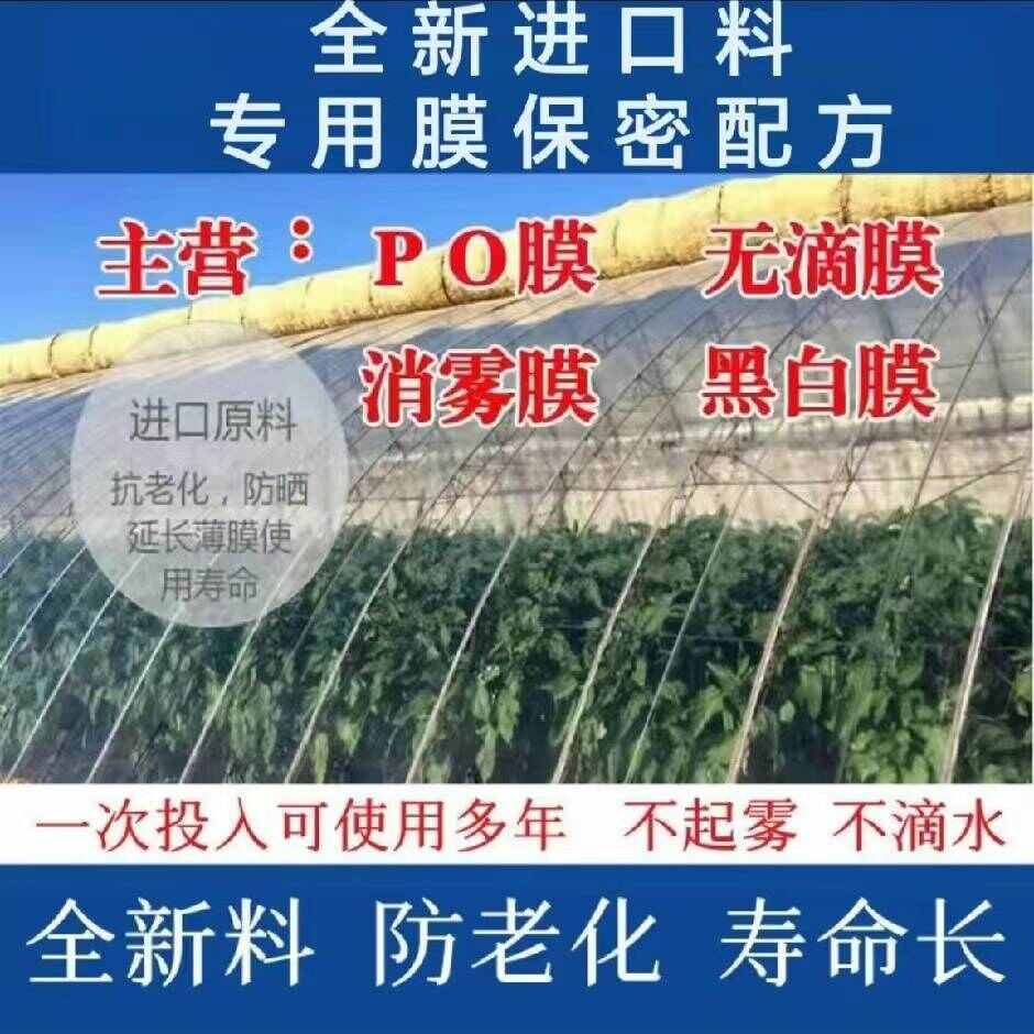 棚膜 双防膜 普通无滴膜 西瓜专用膜 无滴膜