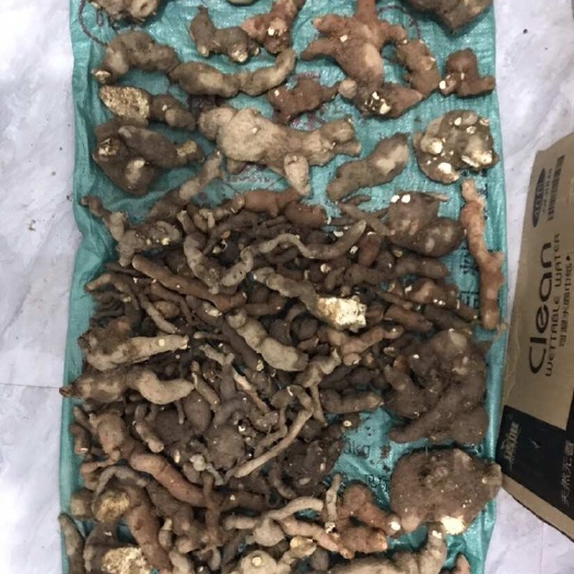 吉安县粉防己