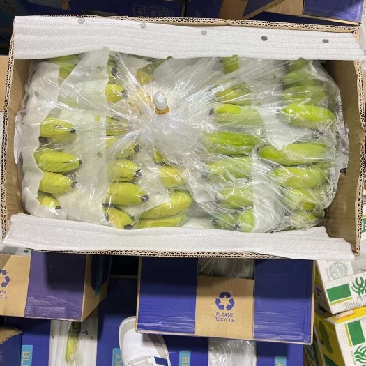 上海菲律宾精品二黄蕉现货，果形非常漂亮，口感软糯，保质保量