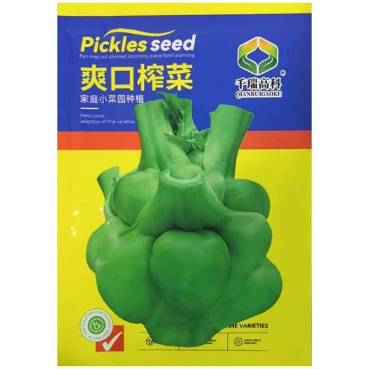 邵东市爽口榨菜种子南北种植抗病强秋播蔬菜种子根用腌酸菜芥菜种子