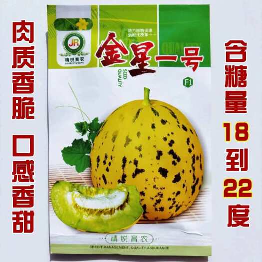 沭阳县金星一号甜瓜种子超甜薄皮酥香脆爽多汁甜掉牙四季播盆栽水果种籽