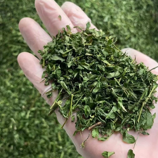 钦州茶