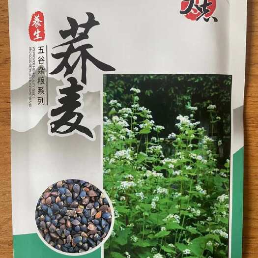 祁东县荞麦种子粗粮杂粮农家荞麦面粉糍粑用的荞麦种子