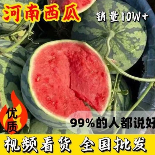 夏邑县夏邑麒麟美都西瓜大量上市，新鲜采摘，皮薄多汁需要的老板联系。