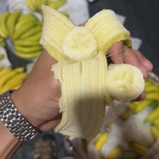 上海菲律宾精品二黄蕉，果面干净，香甜软糯，保质保量，全国可发