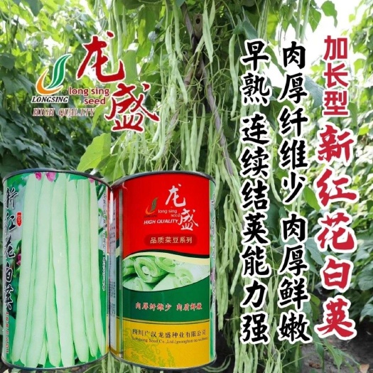 龙盛新红花白荚种子加长型豆角四季豆早熟架豆种子纤维少采收期长