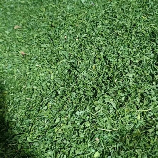 河源相思茶，茶