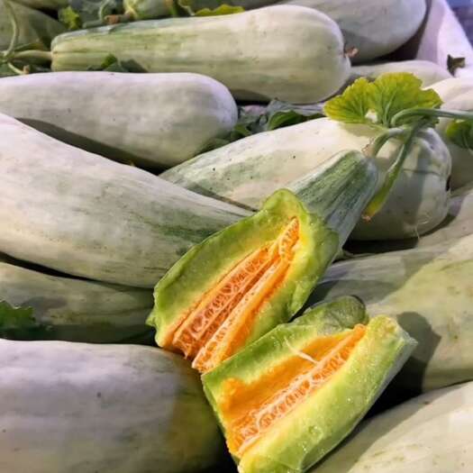 费县费县万亩暖棚羊角蜜甜瓜大量上市