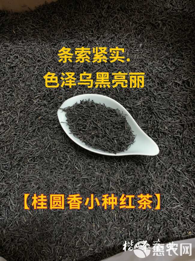 小种红茶 桂圆香小种红茶 正山小种红茶 茶叶 红茶 批发价散