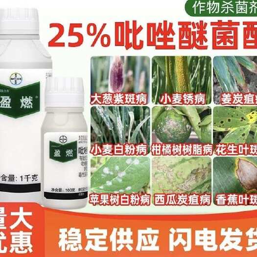 东莞市拜耳盈燃 吡唑醚菌酯25%白粉病黑星病叶斑病炭疽病农药杀菌剂