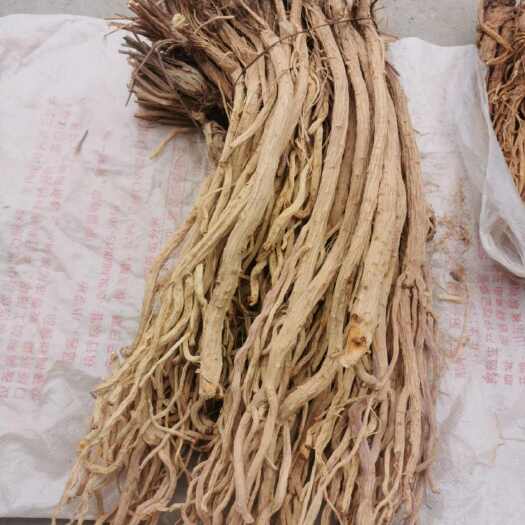 陇西县关防风