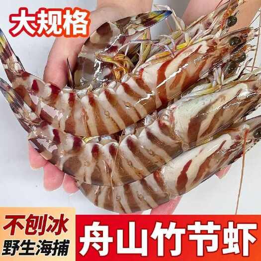 【顺丰】竹节虾海虾新鲜斑节虾大虾鲜活黑虎虾海鲜批发水产