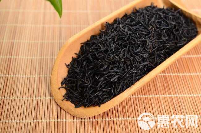 小种红茶 桂圆香小种红茶 正山小种红茶 茶叶 红茶 批发价散