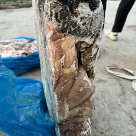 阳信县国产精修黑毛肚