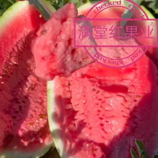 吐鲁番新疆西瓜，金城五号，安农二号，吐鲁番-哈密-昌吉；大吨位供应