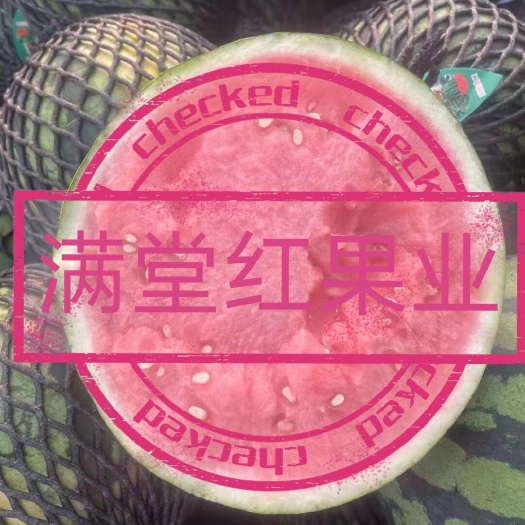 批发/代发无籽美都西瓜，8424麒麟西瓜，档口，社团，电商