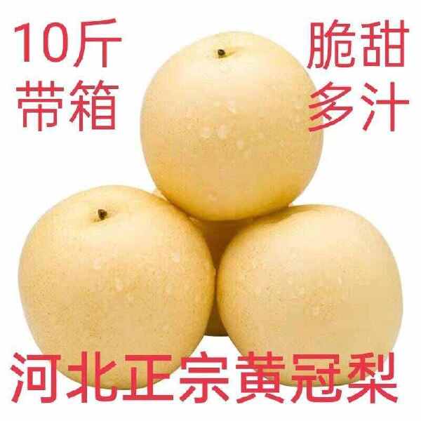 河北皇冠梨应季水果 梨薄皮 梨子整箱水果新鲜10斤装