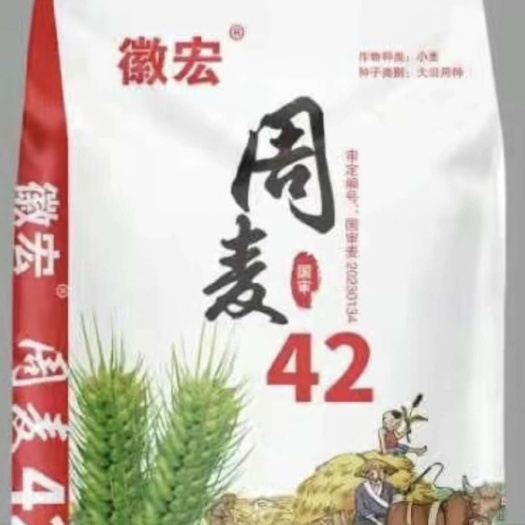 周麦42  抗病性强 品质好产量优