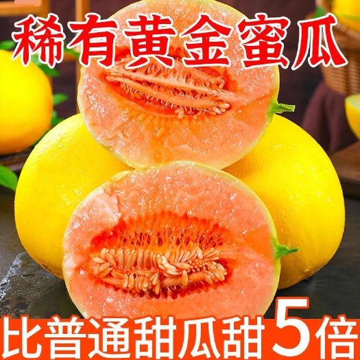 甜黄河蜜瓜甜瓜甘肃沙漠蜜瓜香瓜新鲜应季水果哈密瓜批发黄金瓜