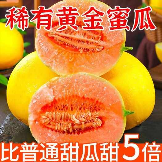 海口甜黄河蜜瓜甜瓜甘肃沙漠蜜瓜香瓜新鲜应季水果哈密瓜批发黄金瓜