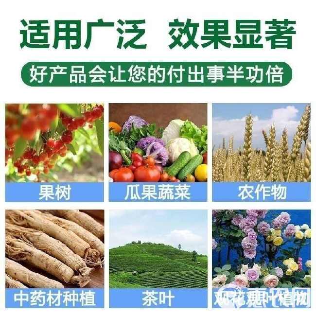 大量现货复合肥   AA母液敖合肥含生根剂  量大优惠