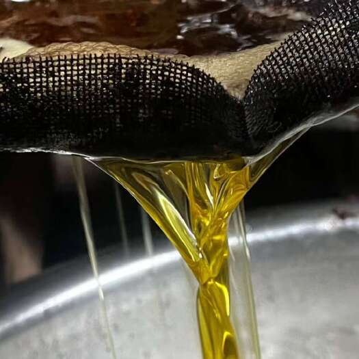 黎平县贵州自家老树小籽物理低温冷榨山茶油