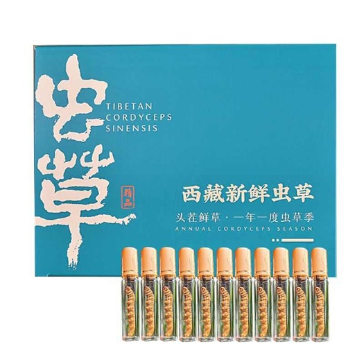 比如县2025头期冬虫夏草 新鲜冬虫夏草批发