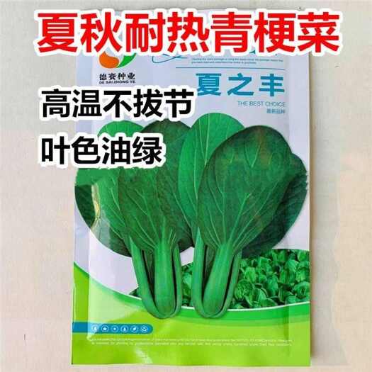 青梗菜种子夏之丰青梗菜种子耐热叶色油绿高温不拔节青梗菜种子