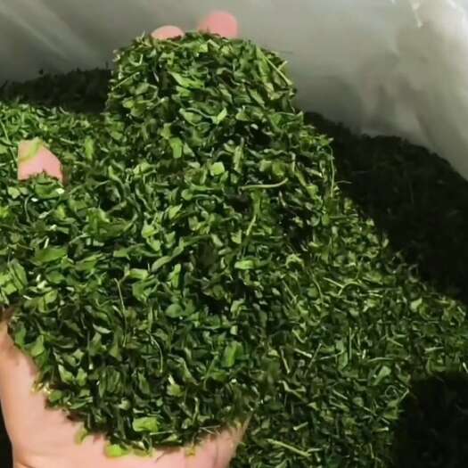 (藤茶)相思茶