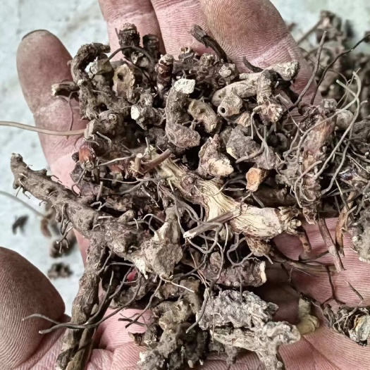 宁强县威灵仙，淫羊藿根，选货去毛净货