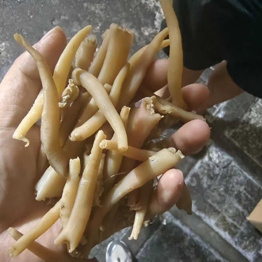 海蚌干海次干海笋贝干批发