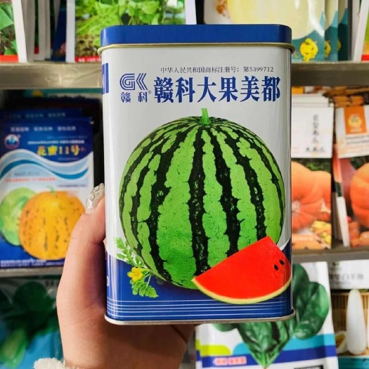 赣科大果美都西瓜种子中早熟西瓜种子 卡其美都西瓜种子