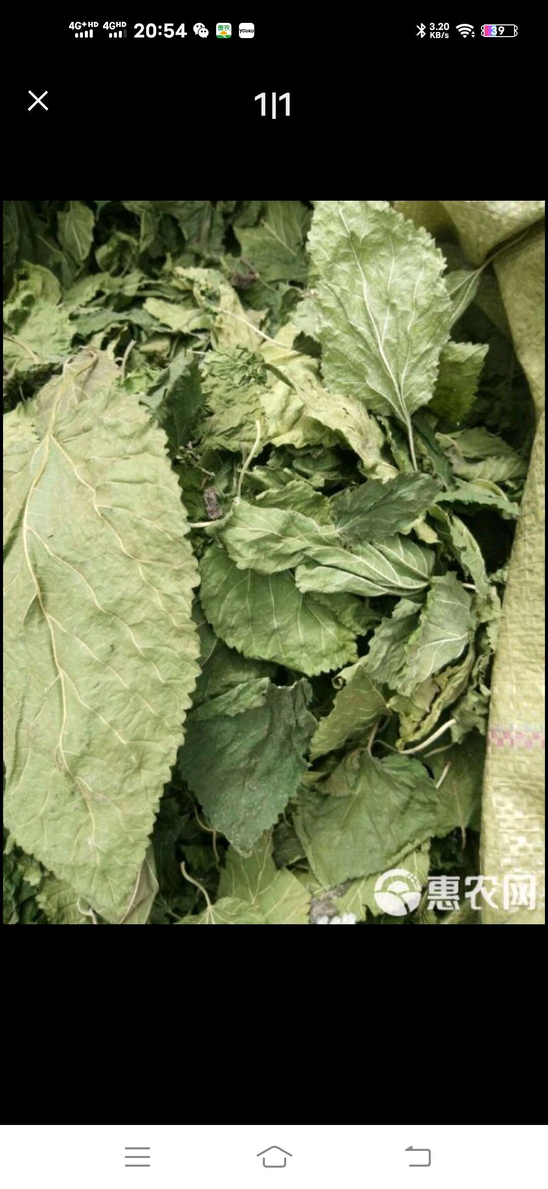 云南桑叶干货真正山里货蚕叶干货鲜货可发