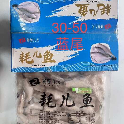 重庆市蓝尾耗儿鱼  厂家直销