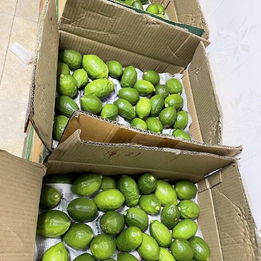 南宁广东香水柠檬产地直发  新鲜奶茶店专用柠檬薄皮厚皮
