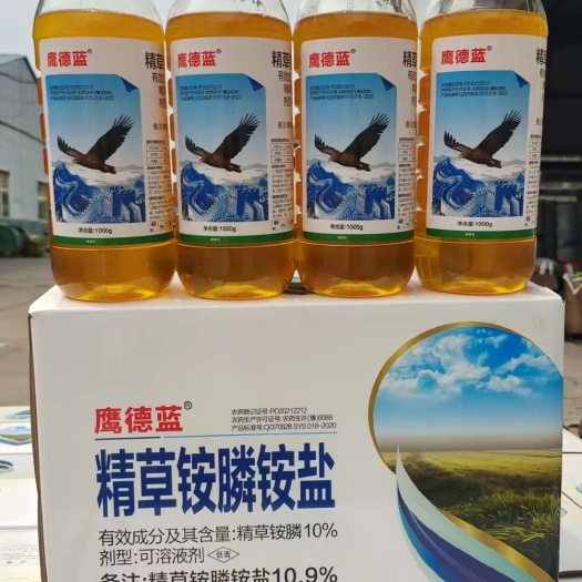 郑州鹰德蓝10.9%精草铵膦除牛筋草小飞蓬果园林地非耕地灭生性除