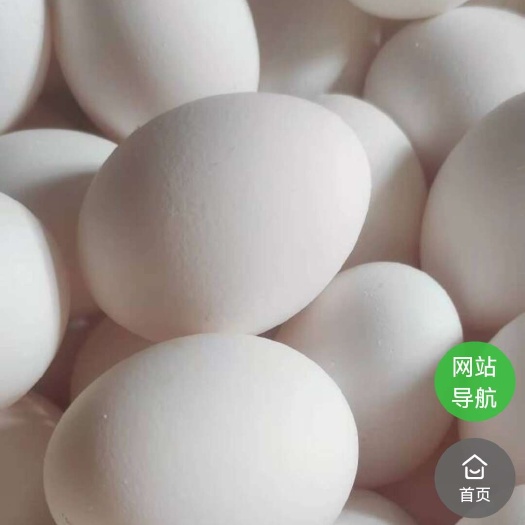 天津一手新鸡蛋批发，新鲜价低，送货上门，只限天津地区，50箱起