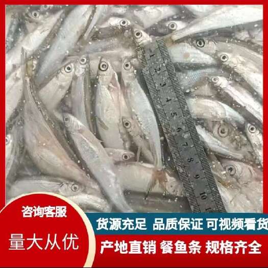 丹江口市餐鱼条开肚，速冻工厂直发，规格包装可定制。