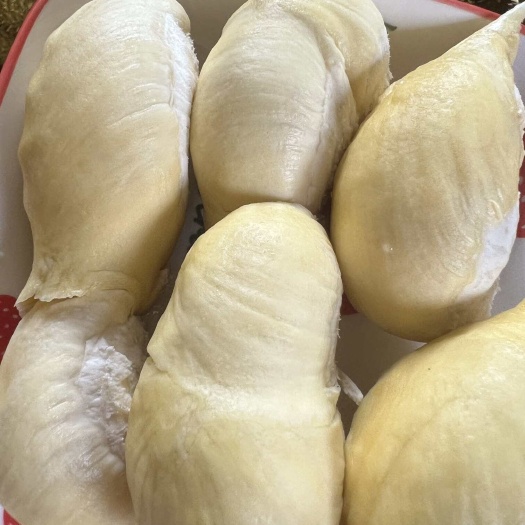 核小肉多金枕榴莲