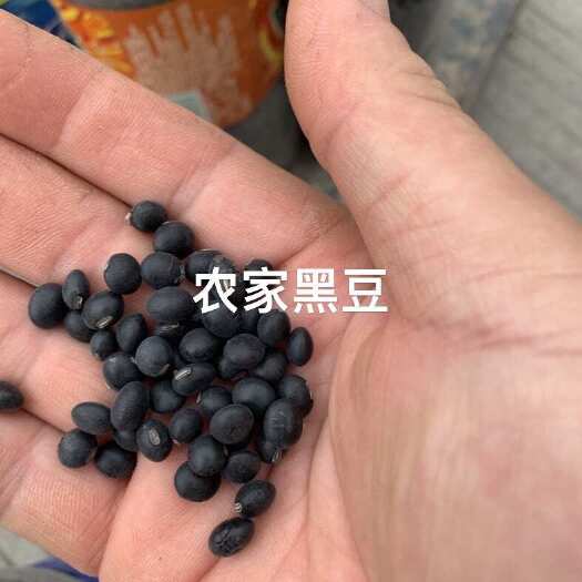 农产品，黑豆