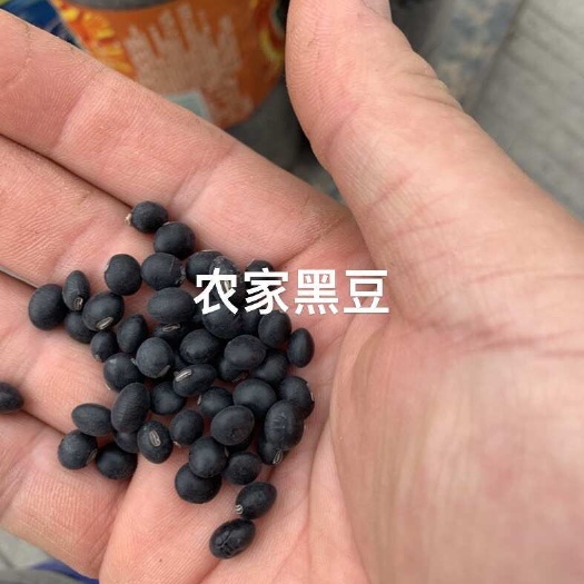 连州市农产品，黑豆