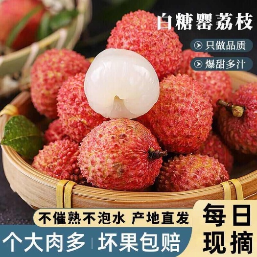 高州市白糖罂荔枝香甜多汁1/3/5斤带箱顺丰发货代发包邮批发