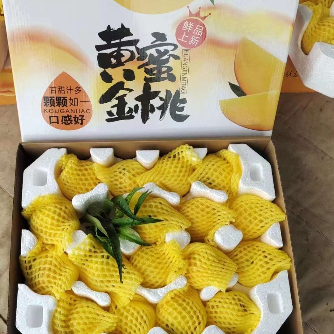 山东蒙阴黄油桃。支持一件代发，落地陪，现摘现发。发往全国