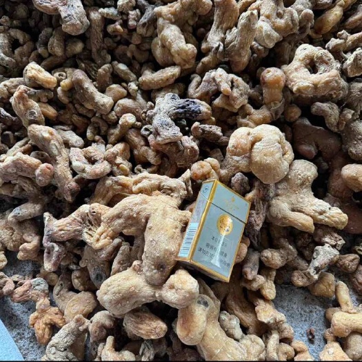 咸丰县干黄精 炕货大货