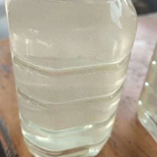 宝鸡洋槐