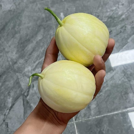冷棚香瓜