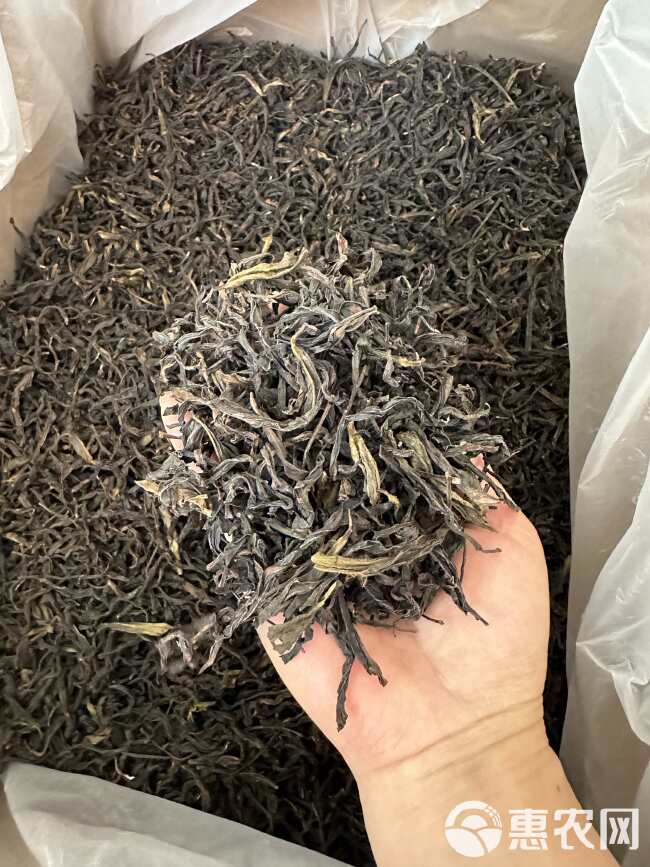 雪片鸭屎香 鸭屎香单丛茶 单枞茶 凤凰单丛茶乌龙茶 批发价