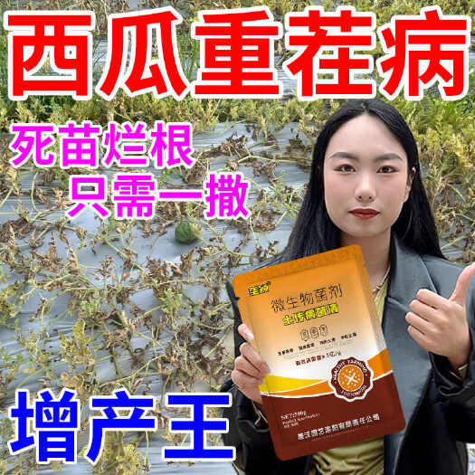 栾川县西瓜重茬病全治专用药重茬剂抗重茬土壤改良剂防烂根死棵抗杀菌剂