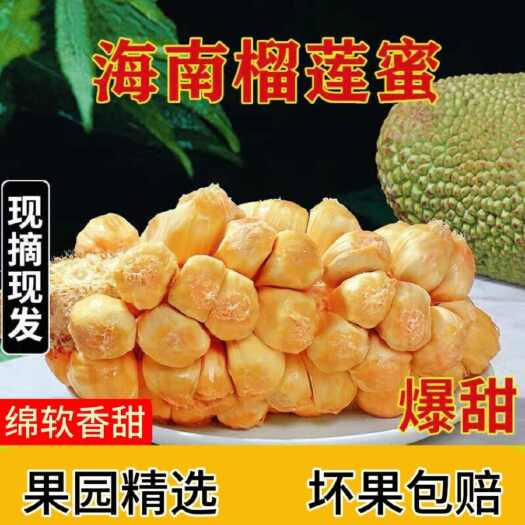 三亚海南榴莲蜜一件代发，果园大量出产，价格优势，来电洽谈！